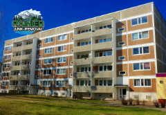 Dumpster Rentals Over Junk Removal